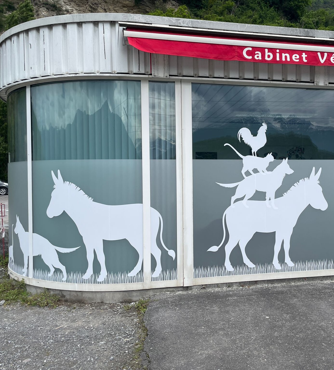 vitrine dépoli + animaux découpés